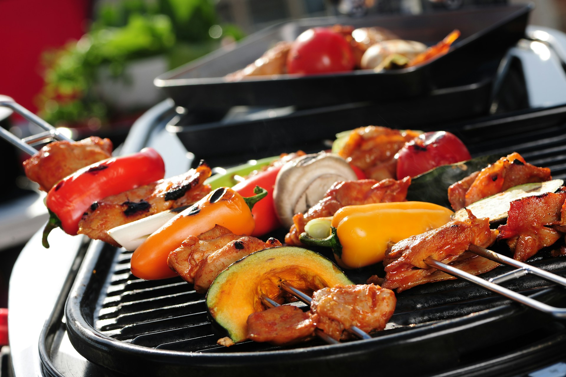Levenslange garantie op je Big Green Egg Large